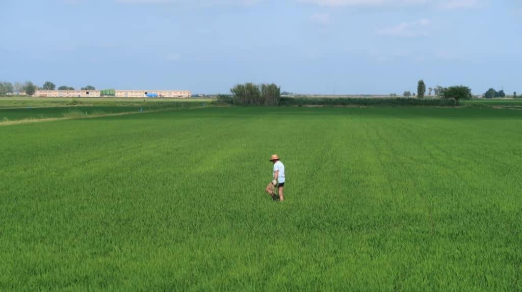 Vila Mas De Melonet Delta Del Ebro L'Aldea Exteriér fotografie